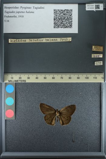 Media type: image;   Entomology 190904